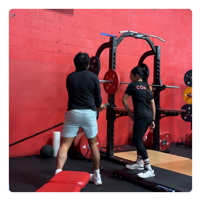 Online and mobility coaching